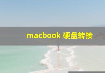 macbook 硬盘转接